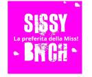 FEMMINILIZZANDO UNA TROIA