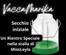 VACCA MARIKA RIENTRA IN STALLA