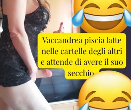 Vaccandrea piscia latte qui